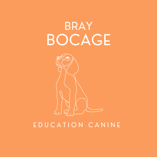 Elevage du Bray Bocage