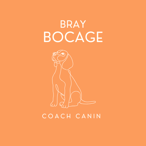 Bray Bocage Coach Canin